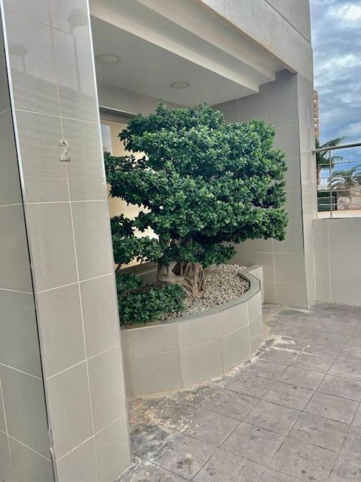 Enjoy Apartment Aparcamiento 5 Min De La Playa Calpe Exterior foto